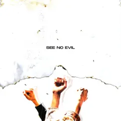 See No Evil (feat. Marcos Sandoval & D. Lylez) Song Lyrics