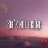 She's Not Like Me - Single album lyrics, reviews, download