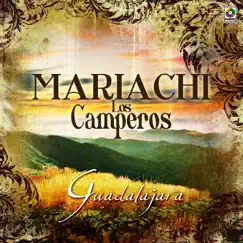 Guadalajara by Mariachi Los Camperos album reviews, ratings, credits