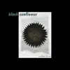 Black Sunflower EP album lyrics, reviews, download