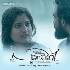 Akkare Ninnoru Poonthoni Song Lyrics