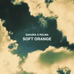 Soft Orange Song Lyrics
