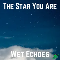 The Star You Are - Single by Wet Echoes album reviews, ratings, credits