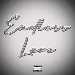 Endless Love - Single by North$ide Boone album reviews, ratings, credits
