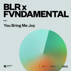 You Bring Me Joy - Single by Blaine L. Reininger & FVNDAMENTAL album reviews, ratings, credits