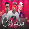 20 Centímetros (feat. Henrique boladão) - Single album lyrics, reviews, download