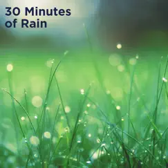 Rainfall Effects Song Lyrics