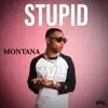 Stupid - Single album lyrics, reviews, download