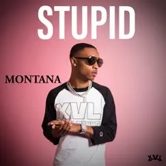 Stupid - Single by Keenan Montana album reviews, ratings, credits