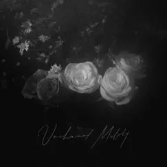 Unchained Melody - Single by The Macarons Project album reviews, ratings, credits