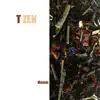 T-Zen - EP album lyrics, reviews, download