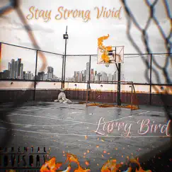 Larry Bird - Single by Stay Strong Vivid album reviews, ratings, credits