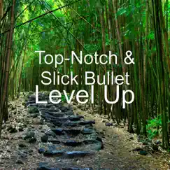 Level Up - Single by Top-Notch & Slick Bullet album reviews, ratings, credits