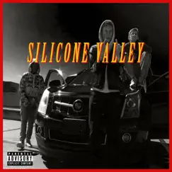 Silicone Valley (feat. Kato On the Track, Sweet Meek, Freeman & Cole Brazeal) - Single by Veryoddyoungins album reviews, ratings, credits