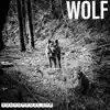 Wolf (Demo) - Single album lyrics, reviews, download