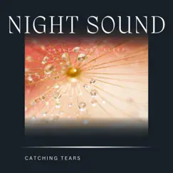 Relaxing Sleep - Green Forest - Night Sounds Song Lyrics