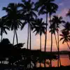 Mauii Lyfe - Single album lyrics, reviews, download
