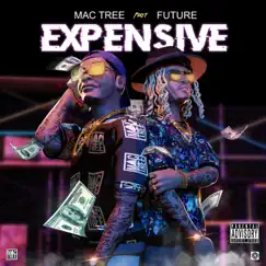 Expensive (feat. Future) - Single by Mac Tree album reviews, ratings, credits