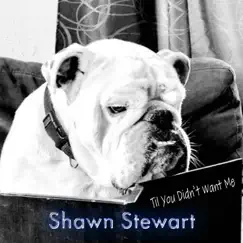 Til You Didn't Want Me - Single (feat. Jocelyn Nixon) - Single by Shawn Stewart album reviews, ratings, credits