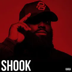Shook - Single by P Money album reviews, ratings, credits