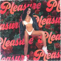 Pleasure - Single by Cairo Gold album reviews, ratings, credits