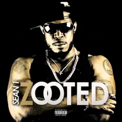 Zooted - Single by Sean 1 album reviews, ratings, credits