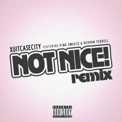 Not Nice! (Remix) [feat. Pink Sweat$ & Devvon Terrell] - Single by Xuitcasecity album reviews, ratings, credits