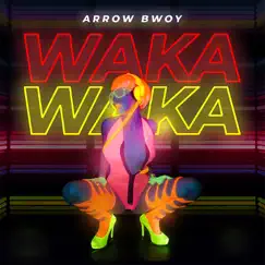Waka Waka Song Lyrics