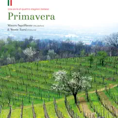 Primavera portena Song Lyrics