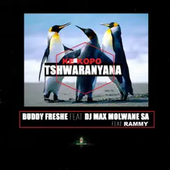 Ke kopo Tshwaranyana (feat. Dj max molwane SA & Rammy) Song Lyrics