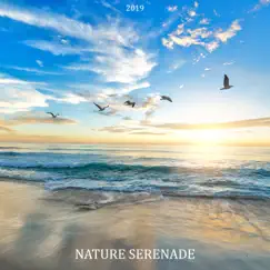 2019 Nature Serenade: Soothing Sounds for Sleep, Meditation, Study, Relax by Relaxing Nature Sounds Collection album reviews, ratings, credits