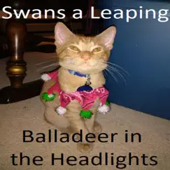 Swans a Leaping by Balladeer in the Headlights album reviews, ratings, credits