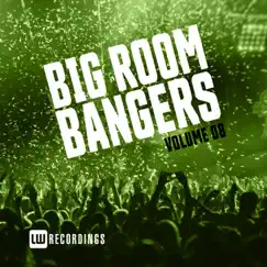 Big Room Bangers, Vol. 08 by Various Artists album reviews, ratings, credits