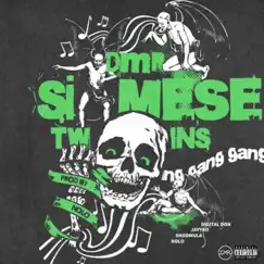 Siamese Twins (feat. Jayyko, Noloyougotone & Moneymanshod) Song Lyrics