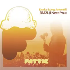 BM2L (I Need You) Song Lyrics