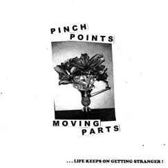 Stranger Danger - Single by Pinch Points album reviews, ratings, credits