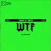WTF (feat. Ravetek) - Single album lyrics, reviews, download