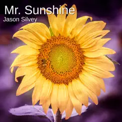 Mr. Sunshine - Single by Jason Silvey album reviews, ratings, credits