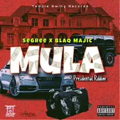 Mula - Single by Segree & Blaq Majic album reviews, ratings, credits