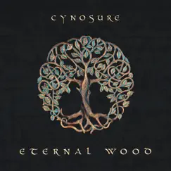 Eternal Wood - Single by Cynosure album reviews, ratings, credits