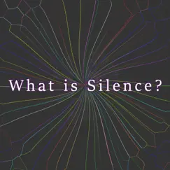 What Is Silence? by Marty the Bass Player album reviews, ratings, credits