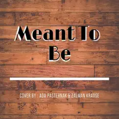 Meant to Be - Single by Ada Pasternak & Zalman Krause album reviews, ratings, credits