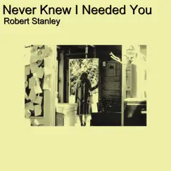 Never Knew I Needed You - Single by Robert Stanley album reviews, ratings, credits