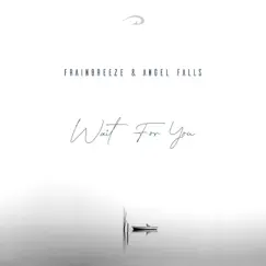 Wait for You - Single by Frainbreeze & Angel Falls album reviews, ratings, credits