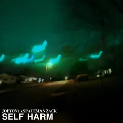Self Harm - Single by Joeyon1 & SpaceMan Zack album reviews, ratings, credits
