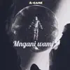 Mngani Wami - Single album lyrics, reviews, download