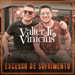 Excesso de Sofrimento - Single by Valter Jr & Vinicius album reviews, ratings, credits