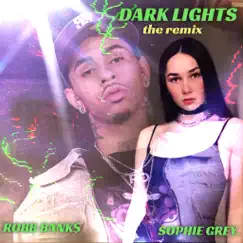 Dark Lights (The Remix) - Single by Sophie Grey. & Robb Bank$ album reviews, ratings, credits