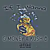 If I Wanna - Single album lyrics, reviews, download