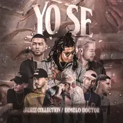 Yo Se (feat. Jay Wheeler, Young Izak, Amaro, Omar Lugo, Bozzy & Conep) - Single by JADRIZ COLLECTION album reviews, ratings, credits
